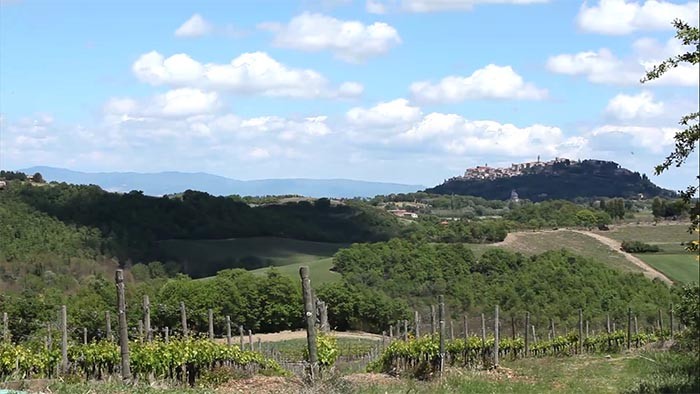 A view of Montepulciano, Tuscany from Agriturismo Terre di Nano